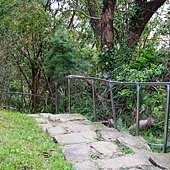 A34-IMGP3862.jpg
