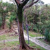 A33-IMGP3858.jpg