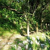 A40-IMGP3888.jpg