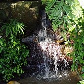 A41-IMGP3890.jpg