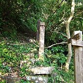 A42-IMGP3895.jpg