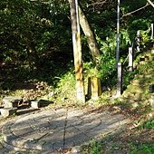 A44-IMGP3899.jpg