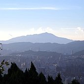A55-IMGP3923.jpg