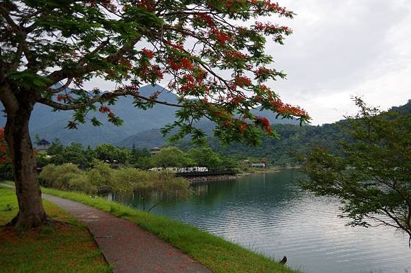 A17-壽豐鄉池南村鯉魚潭畔步道.JPG