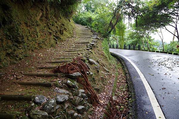 A34-壽豐鄉池南村鯉魚山登山步道之3號登山口.JPG