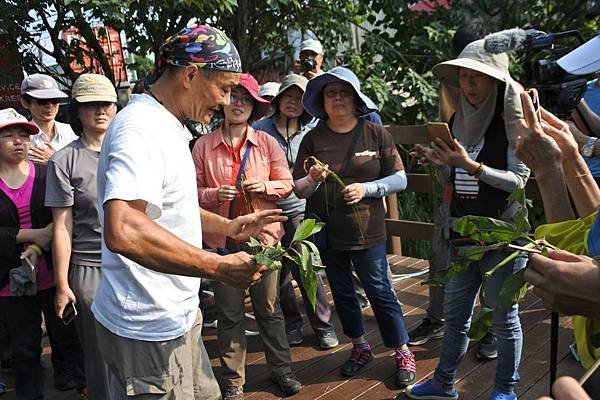 B26-陳德鴻老師解說各種水生植物名稱.JPG