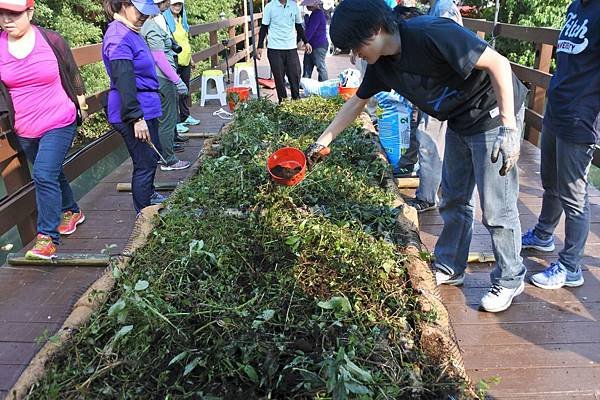 B29-志工學員在浮島載體水生植物上灑水.JPG