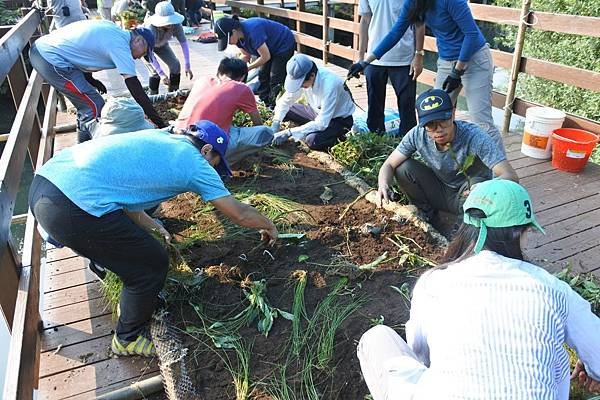 B27-志工學員合力將水生植物植入浮島載體.JPG