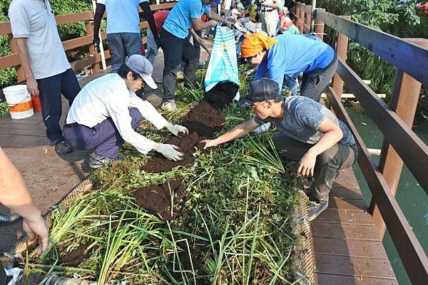 B30-志工學員在浮島載體水生植物上再上培養土.JPG