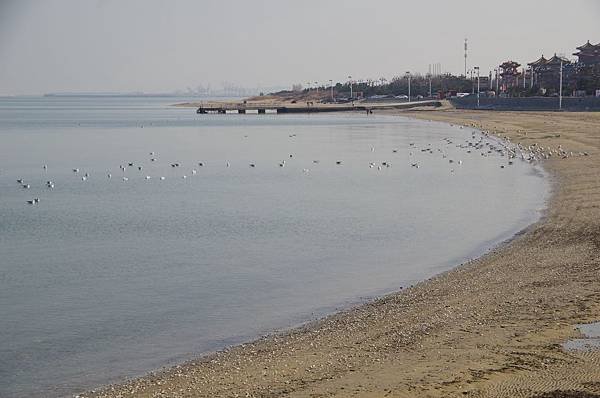 B323-八仙過海景區_站在「八仙橋」右望飛翔海鷗.JPG