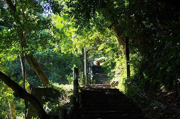 B07-IMGP3704-緩坡山路倚在邊坡起伏路況很好.JPG