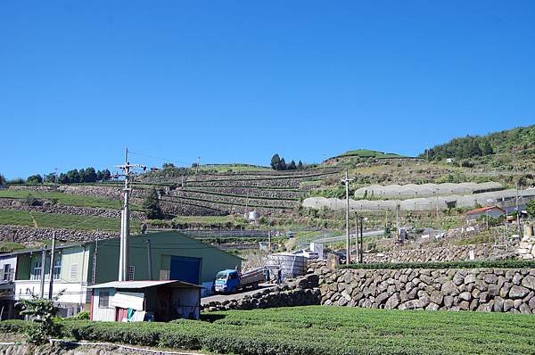 B07-IMGP4671-傳說村梯田茶園層層疊疊的巨石駁坎.JPG