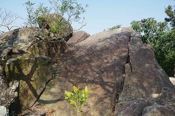 B22-IMGP6448-往金面山論劍亭之嶙峋巨岩.JPG