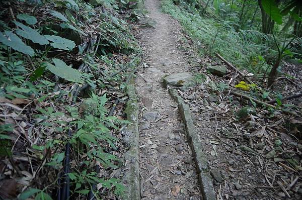 B55-IMGP5723-南坪古道原渠道水路遺跡.JPG