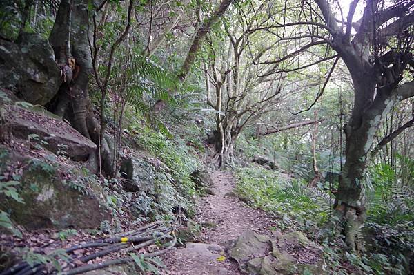 B57-IMGP5726-南坪古道原渠道遺跡.JPG