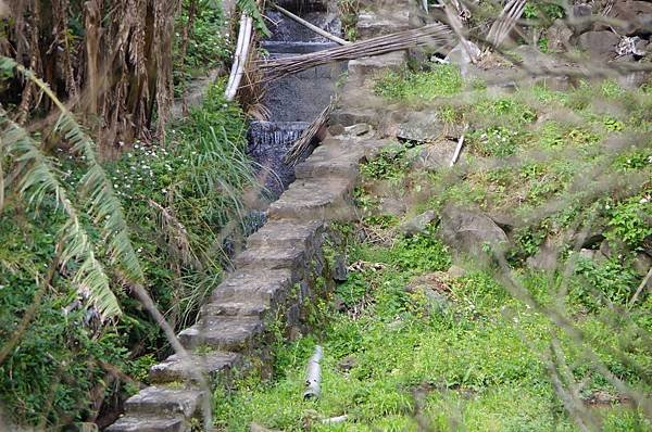 B05-IMGP5804-風尾步道梯田水圳.JPG