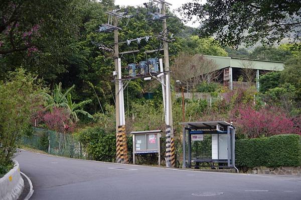 B36-IMGP5939-北投湖山里紗帽路22-38號住宅區之紗帽馬場公車站.JPG