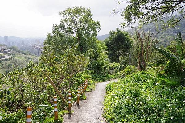 B39-IMGP5951-由紗帽路田邊小徑前往行義路溫泉露頭.JPG