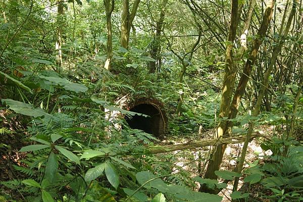 B29-DSC_4573-北港二坑礦場遺址隱藏在山谷下坑洞遺跡.JPG