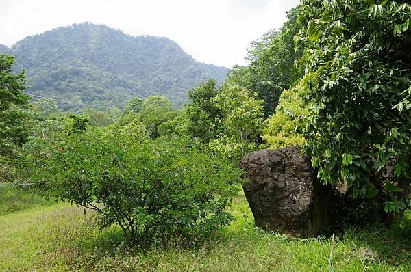 B13-IMGP0574-生物保育區東邊山脈有條健行的「暗影步道」.JPG