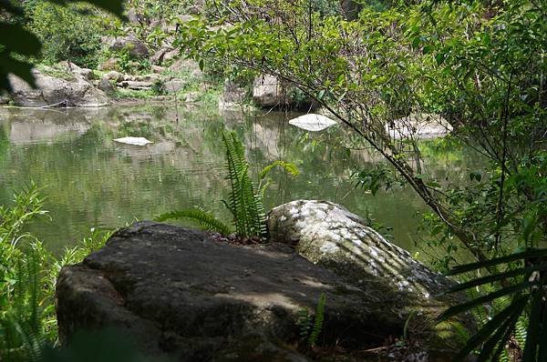 B49-IMGP0598-第三層生物保育區最大生態埤塘景觀.JPG