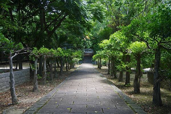 B75-IMGP1033-穿過神社鳥居是進入芝山巖社的參道.JPG