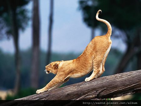 stretch
