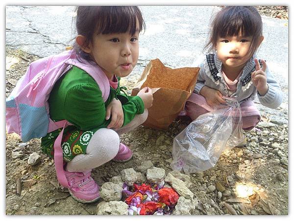 大崗山採花09.jpg