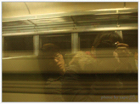 小刀睡覺覺-2.gif