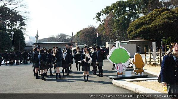 DSC01384