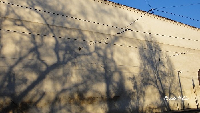 DSC00770.jpg