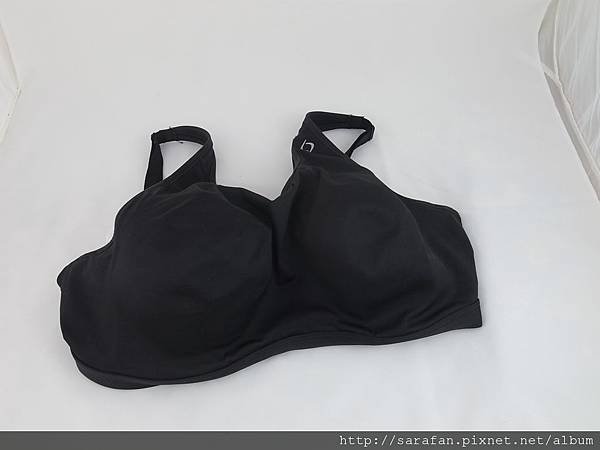 R1031604.JPG