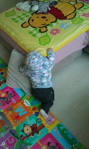 IMAG0735 (478x800)
