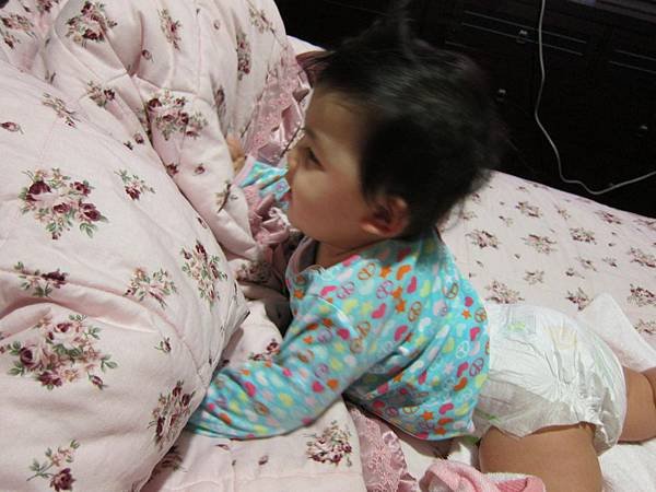 IMG_0134_copy