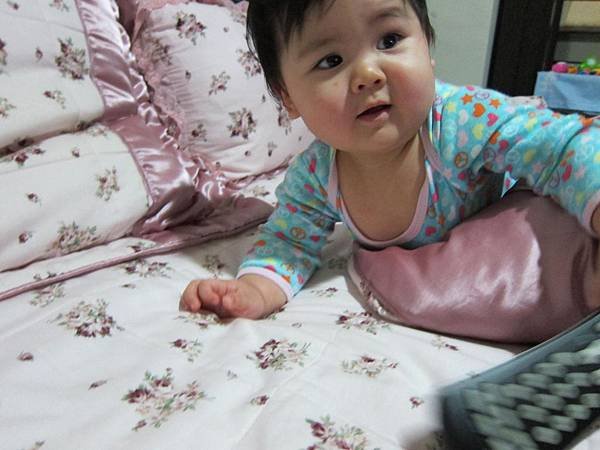 IMG_0141_copy