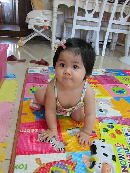 IMG_0006_copy