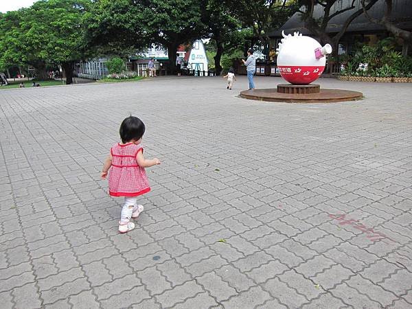 IMG_2293_copy