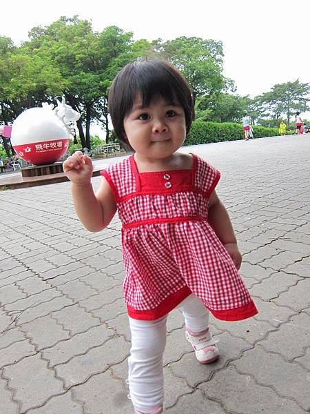 IMG_2303_copy