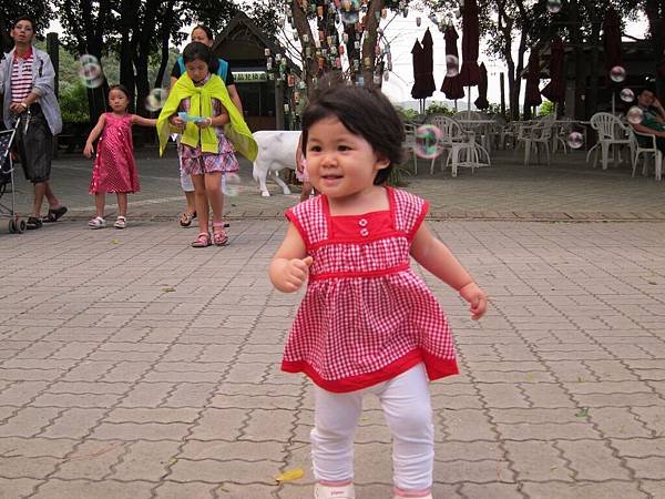 IMG_2317_copy