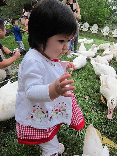 IMG_2447_copy
