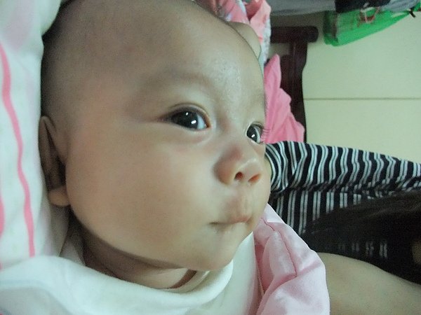 DSCF0103.JPG