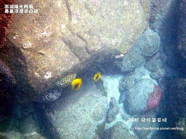 澎湖陽光阿有浮潛 SABAI B&amp;B (97).JPG