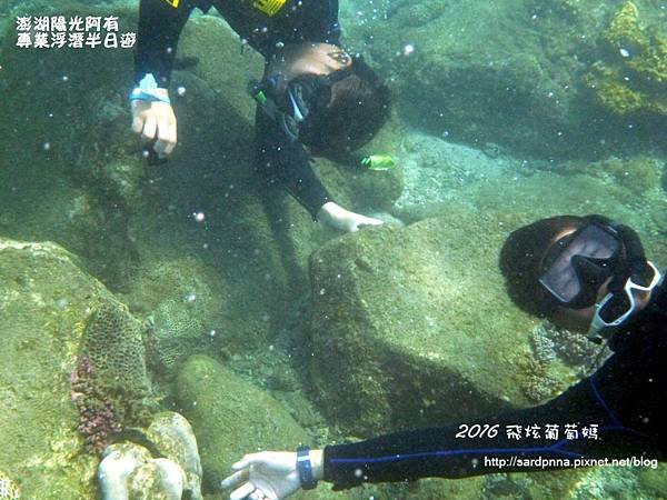澎湖陽光阿有浮潛 SABAI B&amp;B (112).JPG