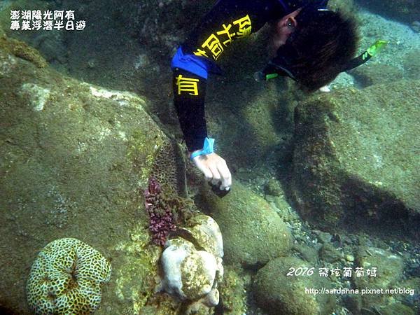 澎湖陽光阿有浮潛 SABAI B&amp;B (113).JPG