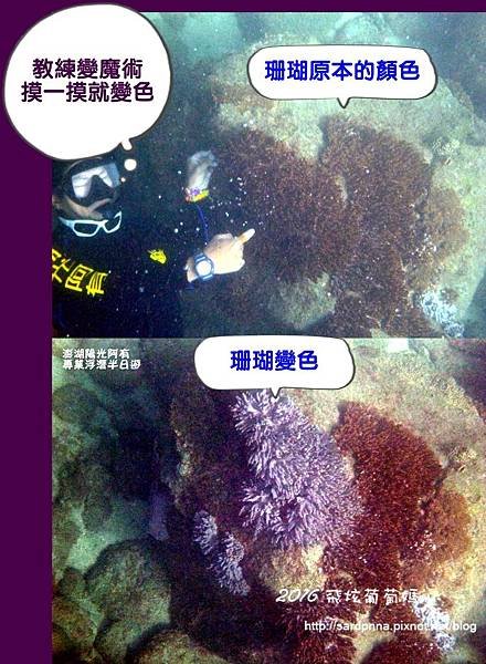 澎湖陽光阿有浮潛 SABAI B&amp;B (119).jpg