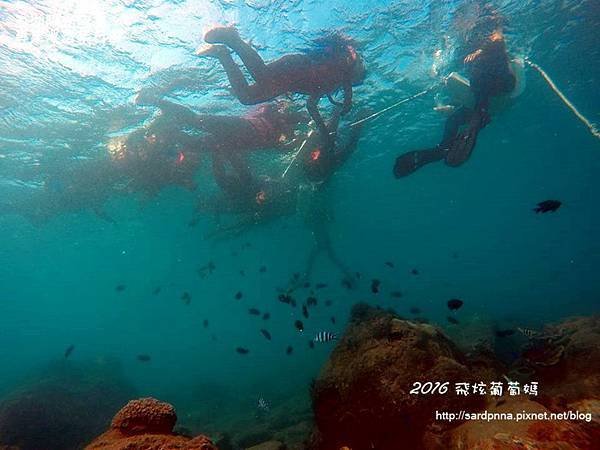 澎湖陽光阿有浮潛 SABAI B&amp;B (135).jpg