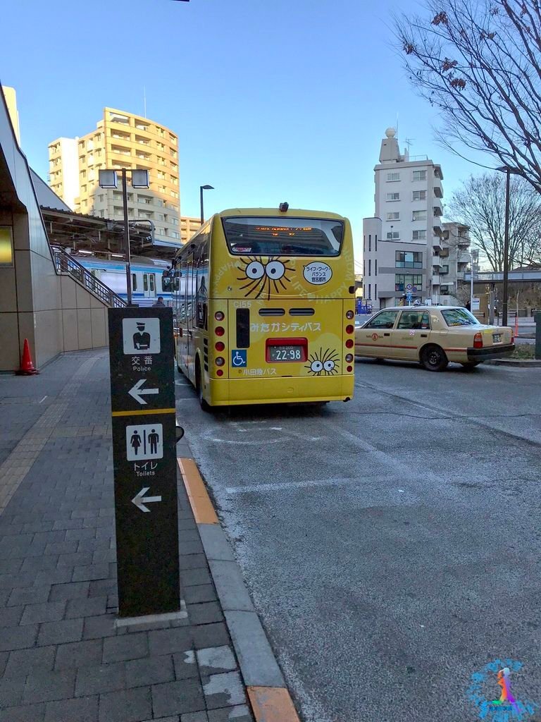 IMG_8847.JPEG