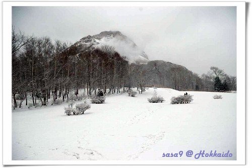 一大片雪景好美～