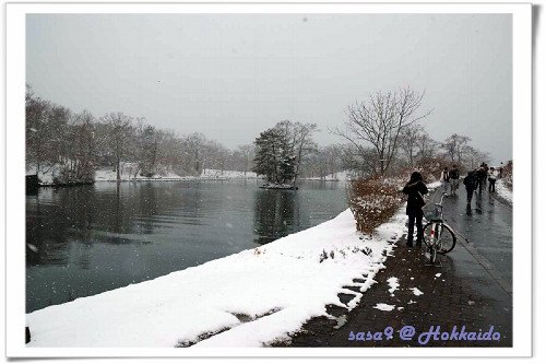 可以騎腳踏車逛大沼公園