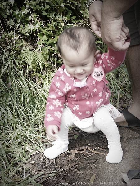 _1250829-1.JPG